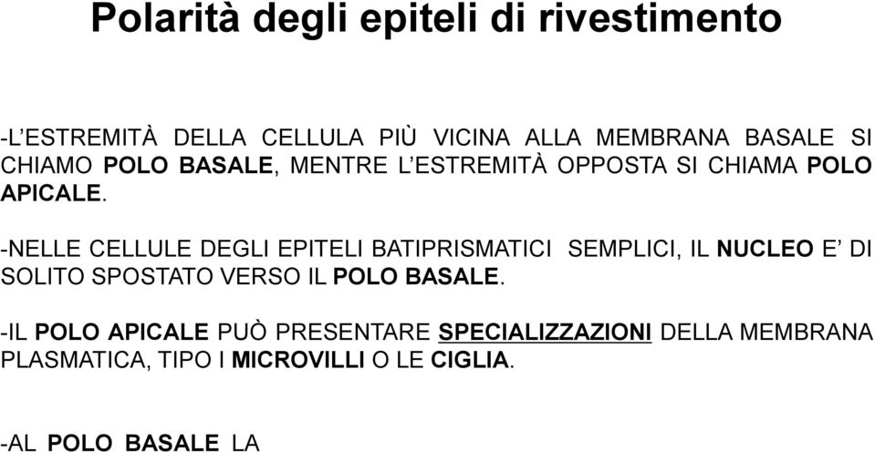 -NELLE CELLULE DEGLI EPITELI BATIPRISMATICI SEMPLICI, IL NUCLEO E DI SOLITO SPOSTATO VERSO IL POLO BASALE.