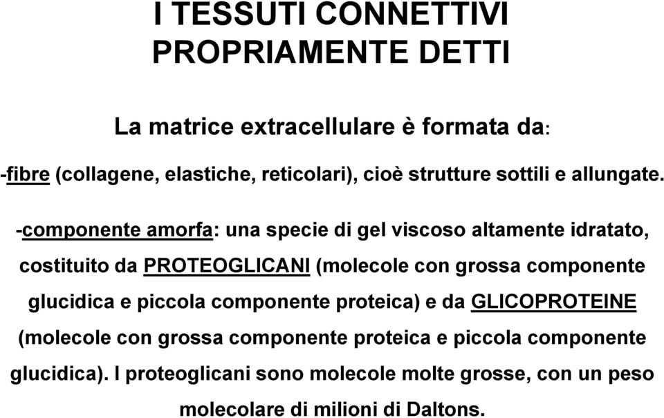 -componente amorfa: una specie di gel viscoso altamente idratato, costituito da PROTEOGLICANI (molecole con grossa componente