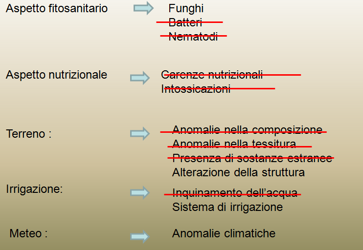 Conclusioni Come già evidenziato all inizio, il fenomeno della moria del kiwi è molto complesso e ha richiesto un approccio di studio di tipo olistico.