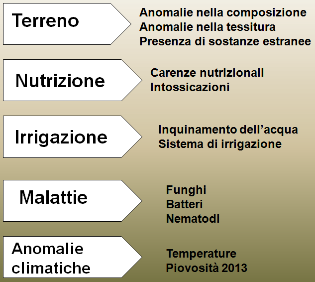 Metodologia operativa Considerata la complessità del fenomeno e la difficoltà ad individuare una causa precisa dello stesso si è deciso di adottare un metodo di indagine multidisciplinare che