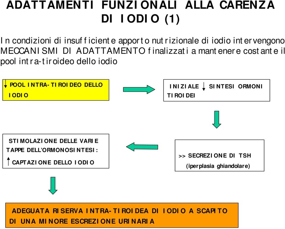 INTRA-TIROIDEO DELLO IODIO INIZIALE TIROIDEI SINTESI ORMONI STIMOLAZIONE DELLE VARIE TAPPE DELL ORMONOSINTESI: CAPTAZIONE