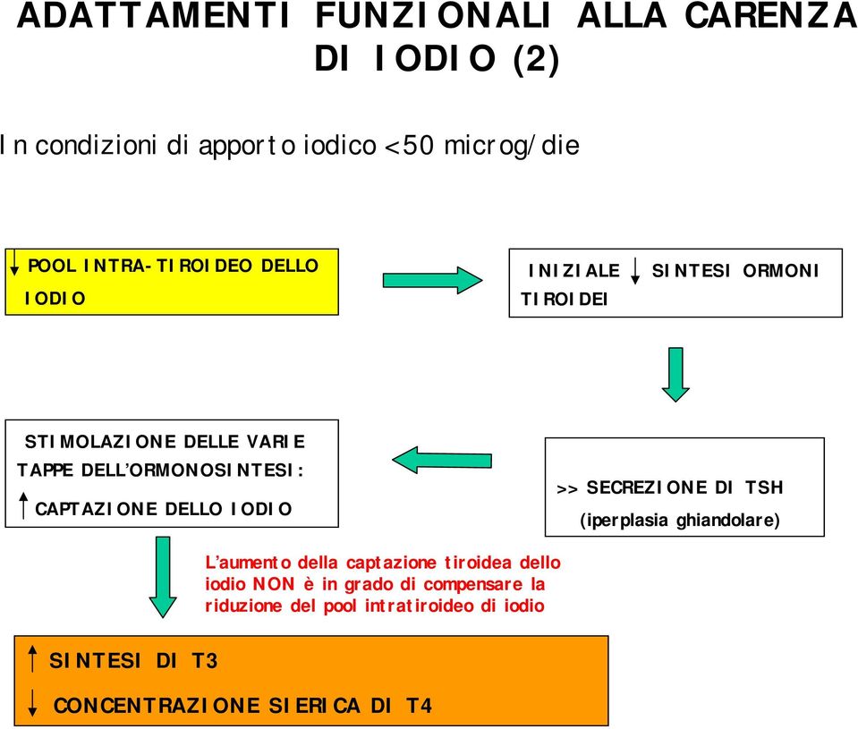 CAPTAZIONE DELLO IODIO >> SECREZIONE DI TSH (iperplasia ghiandolare) L aumento della captazione tiroidea dello