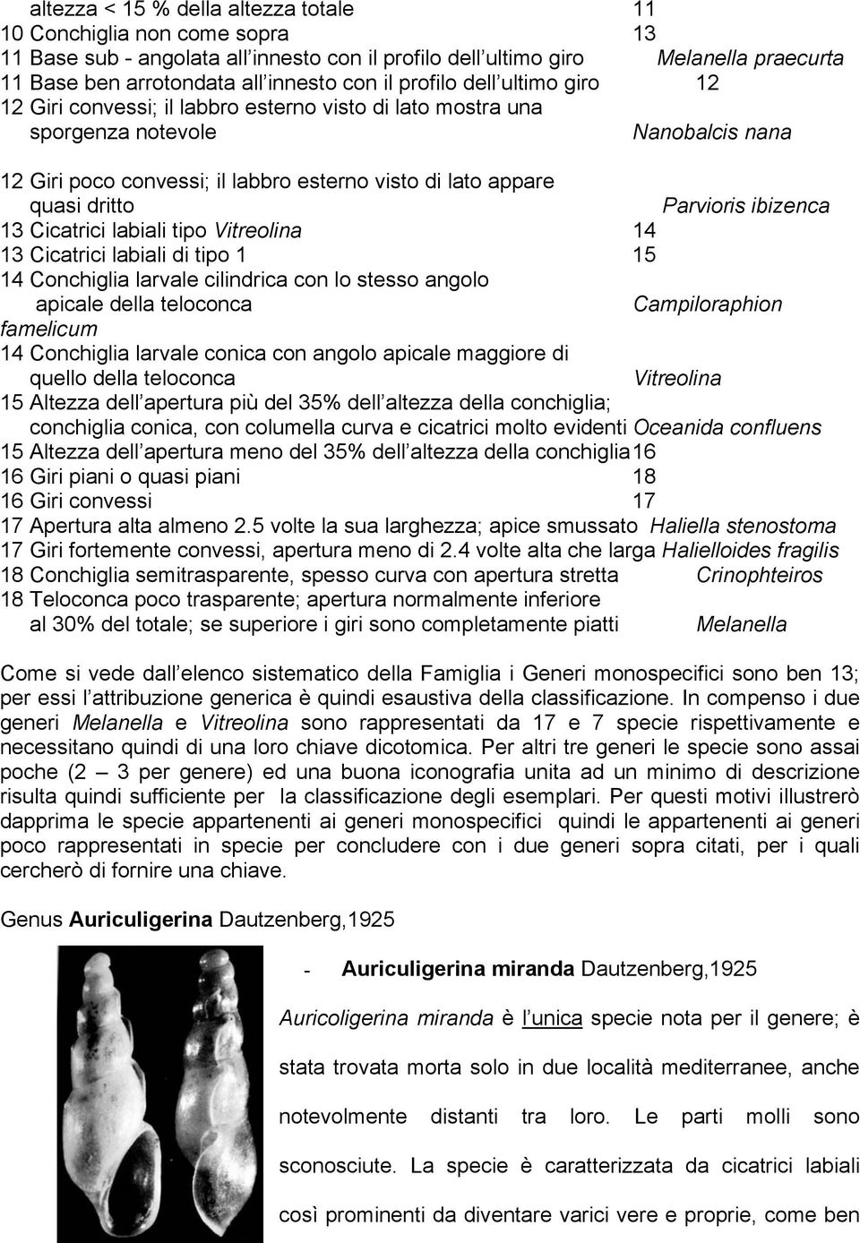 dritto Parvioris ibizenca 13 Cicatrici labiali tipo Vitreolina 14 13 Cicatrici labiali di tipo 1 15 14 Conchiglia larvale cilindrica con lo stesso angolo apicale della teloconca Campiloraphion