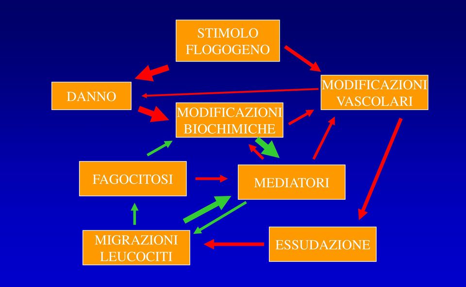 MODIFICAZIONI VASCOLARI