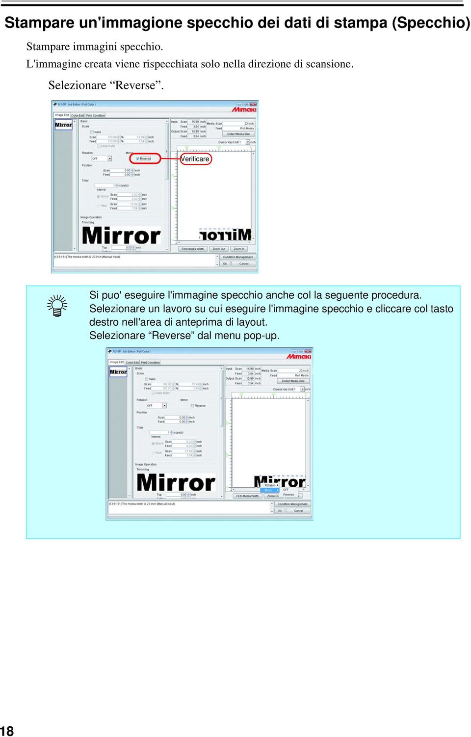 Verificare Si puo' eseguire l'immagine specchio anche col la seguente procedura.