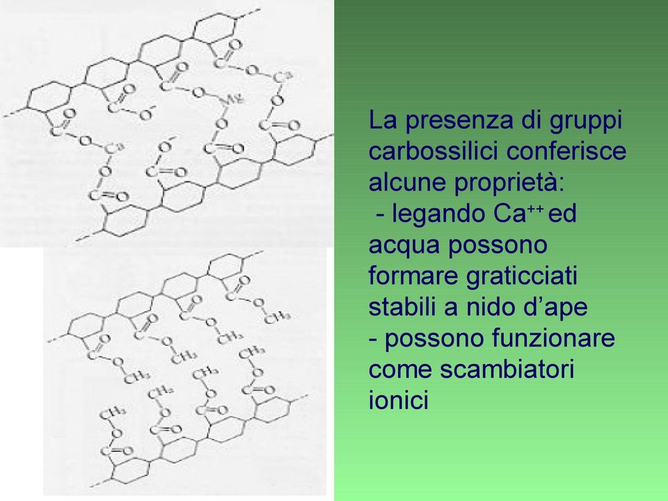 possono formare graticciati stabili a nido d