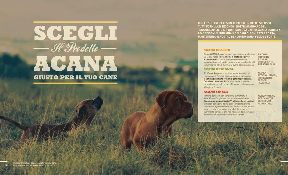 Ricchi di proteine e poveri in carboidrati, i Classic hanno un contenuto in ingredienti animali (pollo, pesce e uova freschi e locali) compreso tra il 55 e il 65%, più avena coltivata in zona.