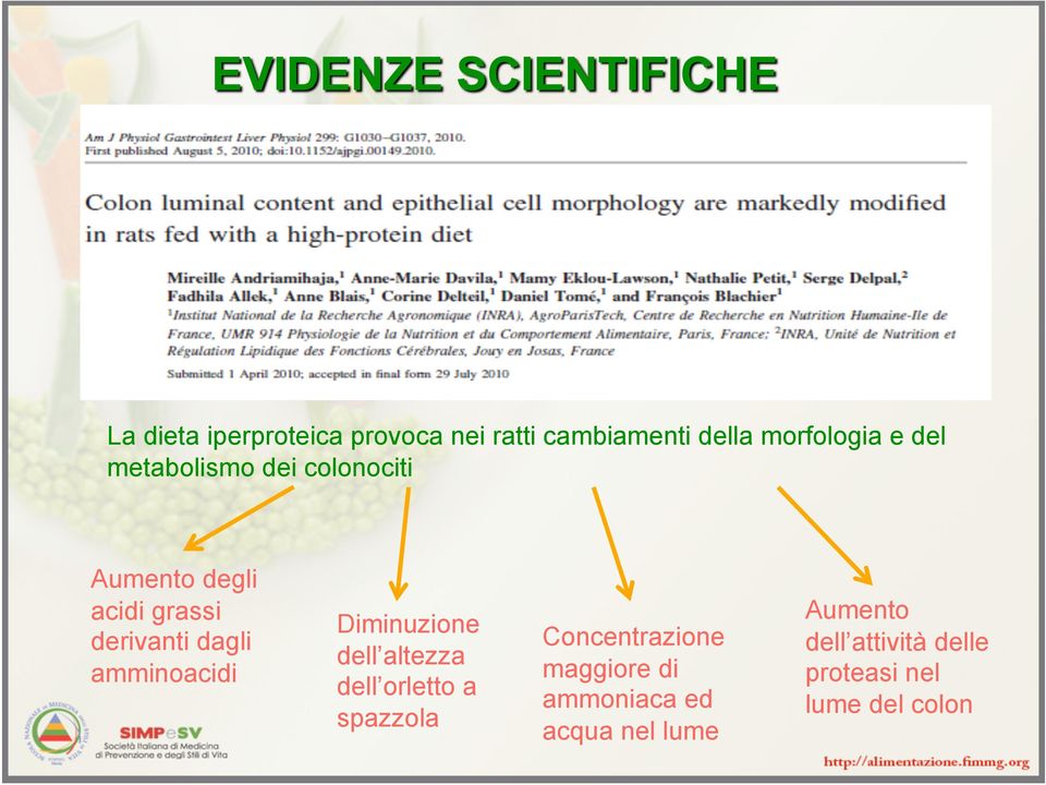 amminoacidi Diminuzione dell altezza dell orletto a spazzola Concentrazione