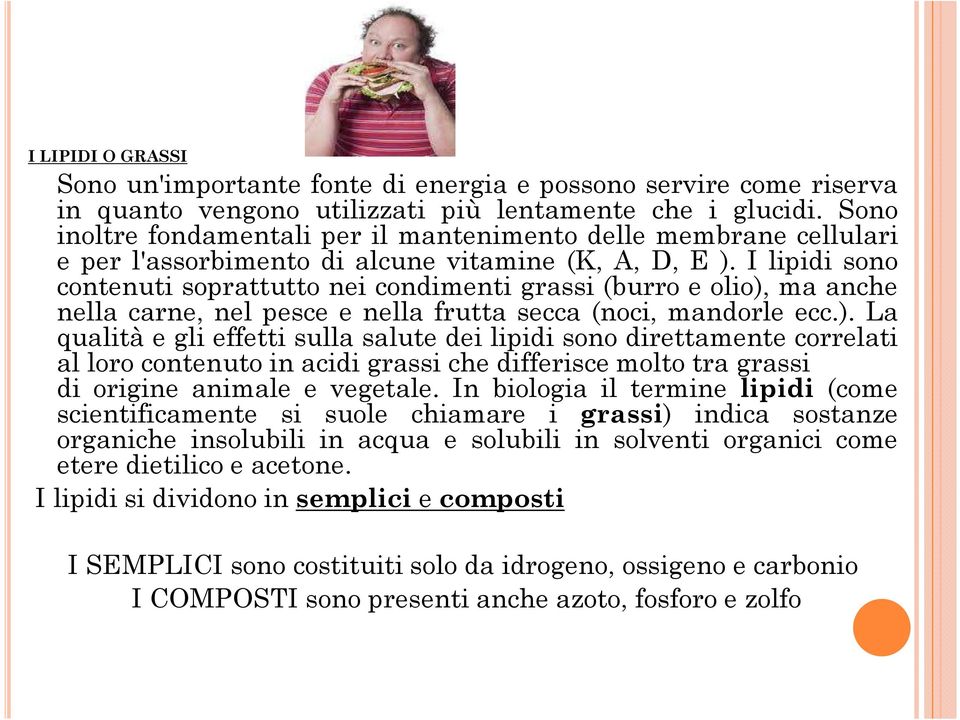 I lipidi sono contenuti soprattutto nei condimenti grassi (burro e olio),