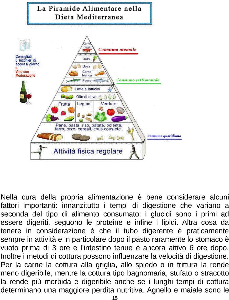 Altra cosa da tenere in considerazione è che il tubo digerente è praticamente sempre in attività e in particolare dopo il pasto raramente lo stomaco è vuoto prima di 3 ore e l intestino tenue è