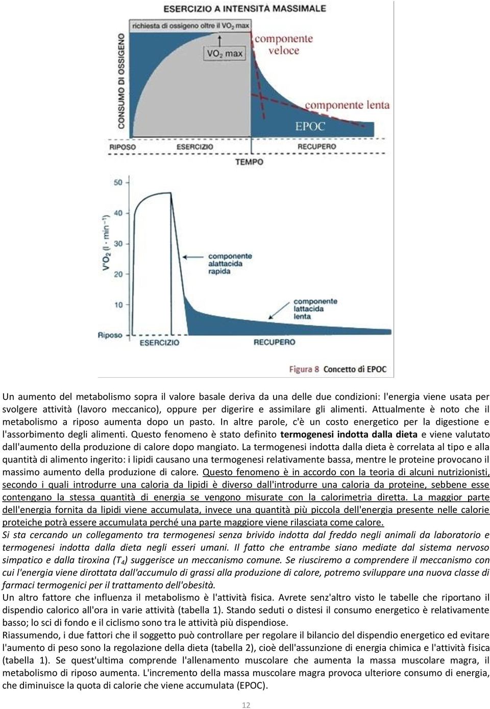 Questo fenomeno è stato definito termogenesi indotta dalla dieta e viene valutato dall'aumento della produzione di calore dopo mangiato.