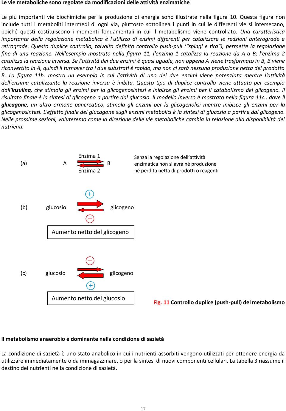 metabolismo viene controllato. Una caratteristica importante della regolazione metabolica è l'utilizzo di enzimi differenti per catalizzare le reazioni anterograde e retrograde.