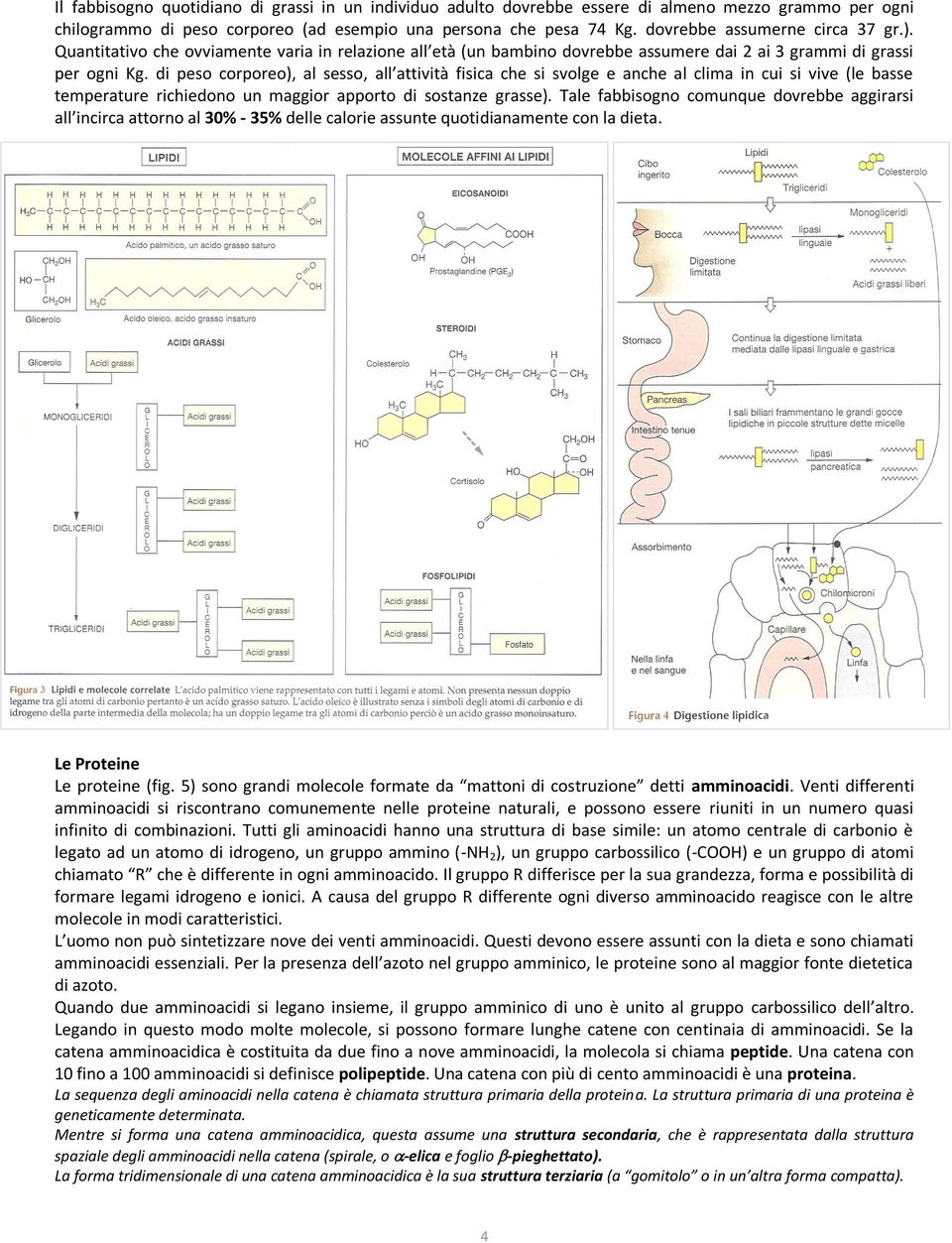 di peso corporeo), al sesso, all attività fisica che si svolge e anche al clima in cui si vive (le basse temperature richiedono un maggior apporto di sostanze grasse).