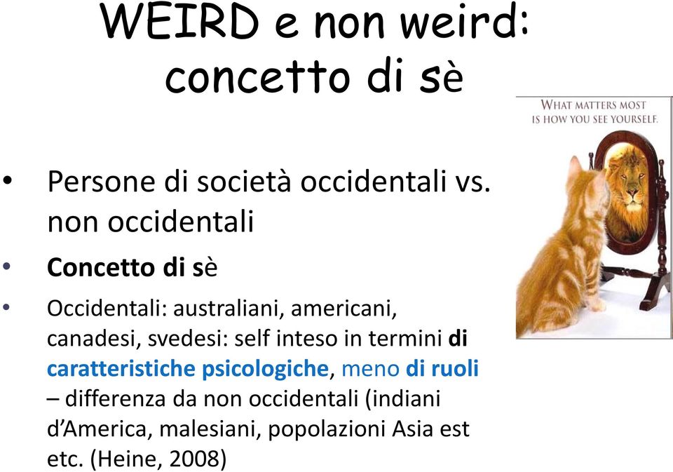 svedesi: self inteso in termini di caratteristiche psicologiche, meno di ruoli