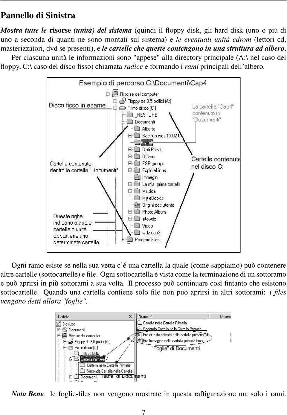 Per ciascuna unità le informazioni sono "appese" alla directory principale (A:\ nel caso del floppy, C:\ caso del disco fisso) chiamata radice e formando i rami principali dell albero.