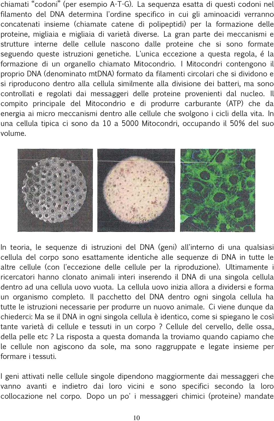 proteine, migliaia e migliaia di varietà diverse. La gran parte dei meccanismi e strutture interne delle cellule nascono dalle proteine che si sono formate seguendo queste istruzioni genetiche.