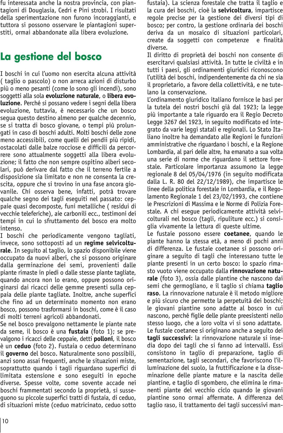 La gestione del bosco I boschi in cui l uomo non esercita alcuna attività ( taglio o pascolo) o non arreca azioni di disturbo più o meno pesanti (come lo sono gli incendi), sono soggetti alla sola