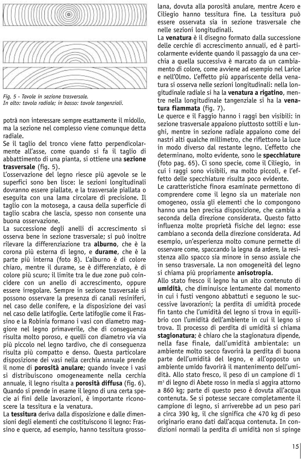 Se il taglio del tronco viene fatto perpendicolarmente all asse, come quando si fa il taglio di abbattimento di una pianta, si ottiene una sezione trasversale (fig. 5).