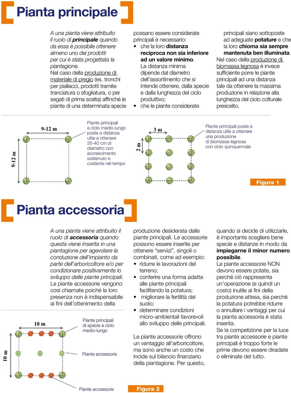 tronchi per piallacci, prodotti tramite tranciatura o sfogliatura, o per segati di prima scelta) affinché le piante di una determinata specie possano essere considerate principali è necessario: che