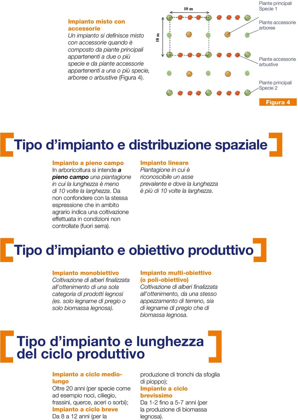 Piante accessorie arboree Piante accessorie arbustive Piante principali Specie 2 Figura 4 Tipo d impianto e distribuzione spaziale Impianto a pieno campo In arboricoltura si intende a pieno campo una