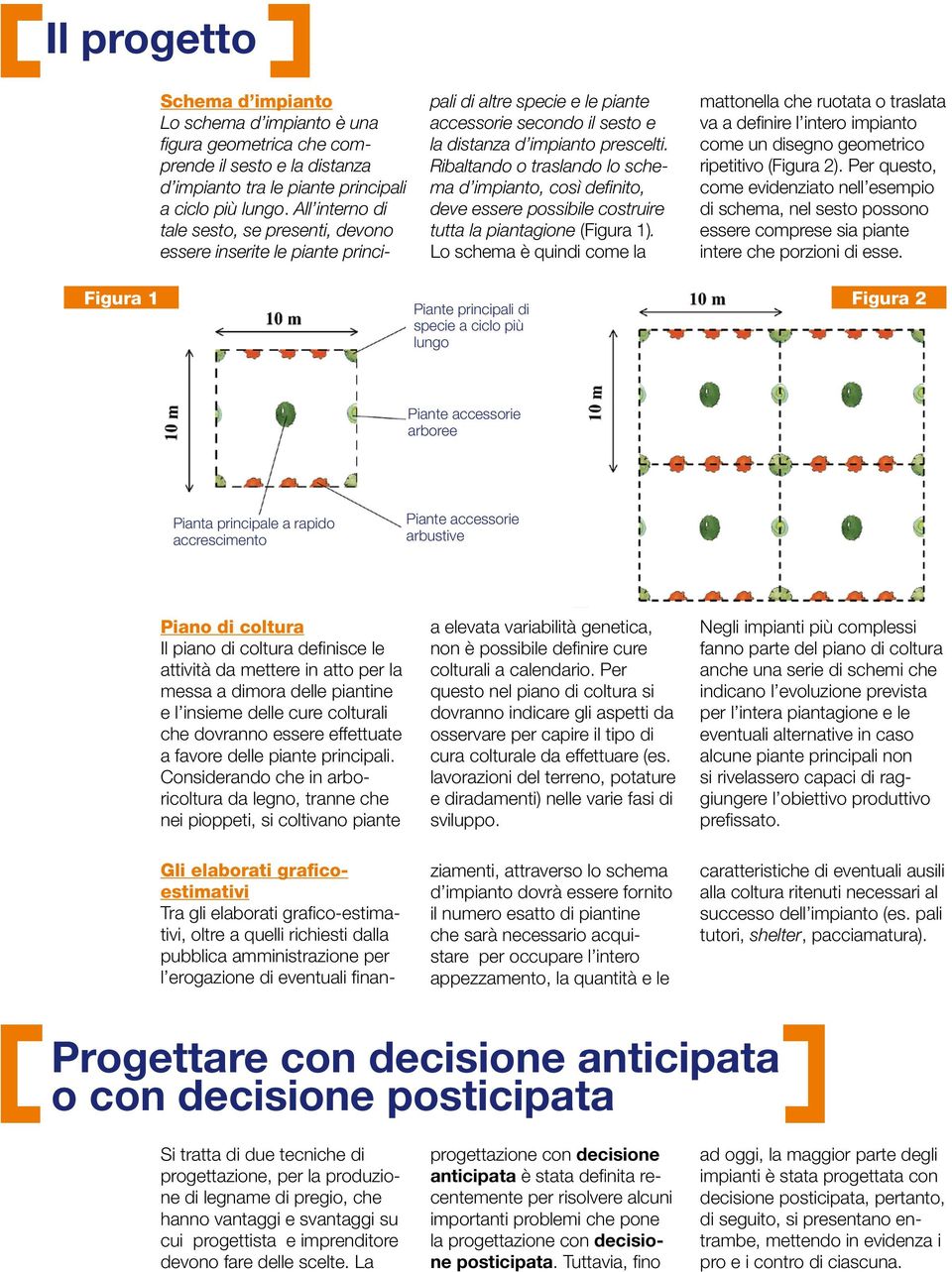 Ribaltando o traslando lo schema d impianto, così definito, deve essere possibile costruire tutta la piantagione (Figura 1).