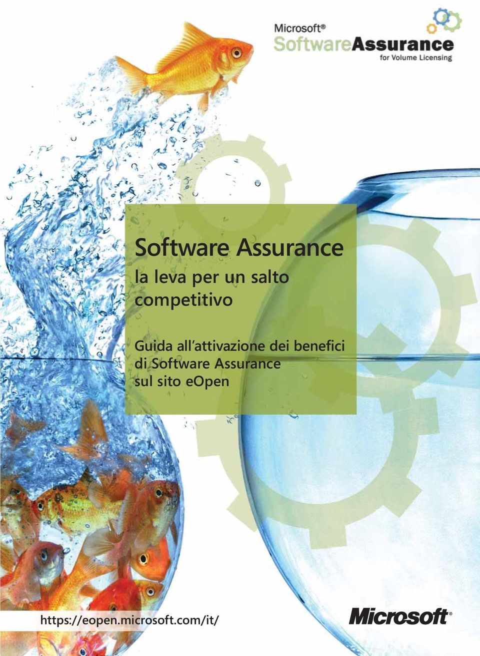 attivazione dei benefici di Software