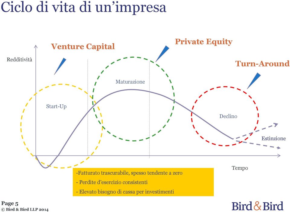 -Fatturato trascurabile, spesso tendente a zero - Perdite d