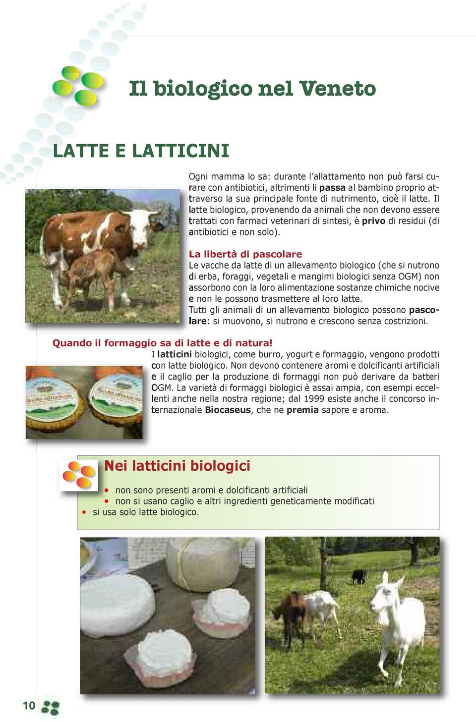 La libertà di pascolare Le vacche da latte di un allevamento biologico (che si nutrono di erba, foraggi, vegetali e mangimi biologici senza OGM) non assorbono con la loro alimentazione sostanze