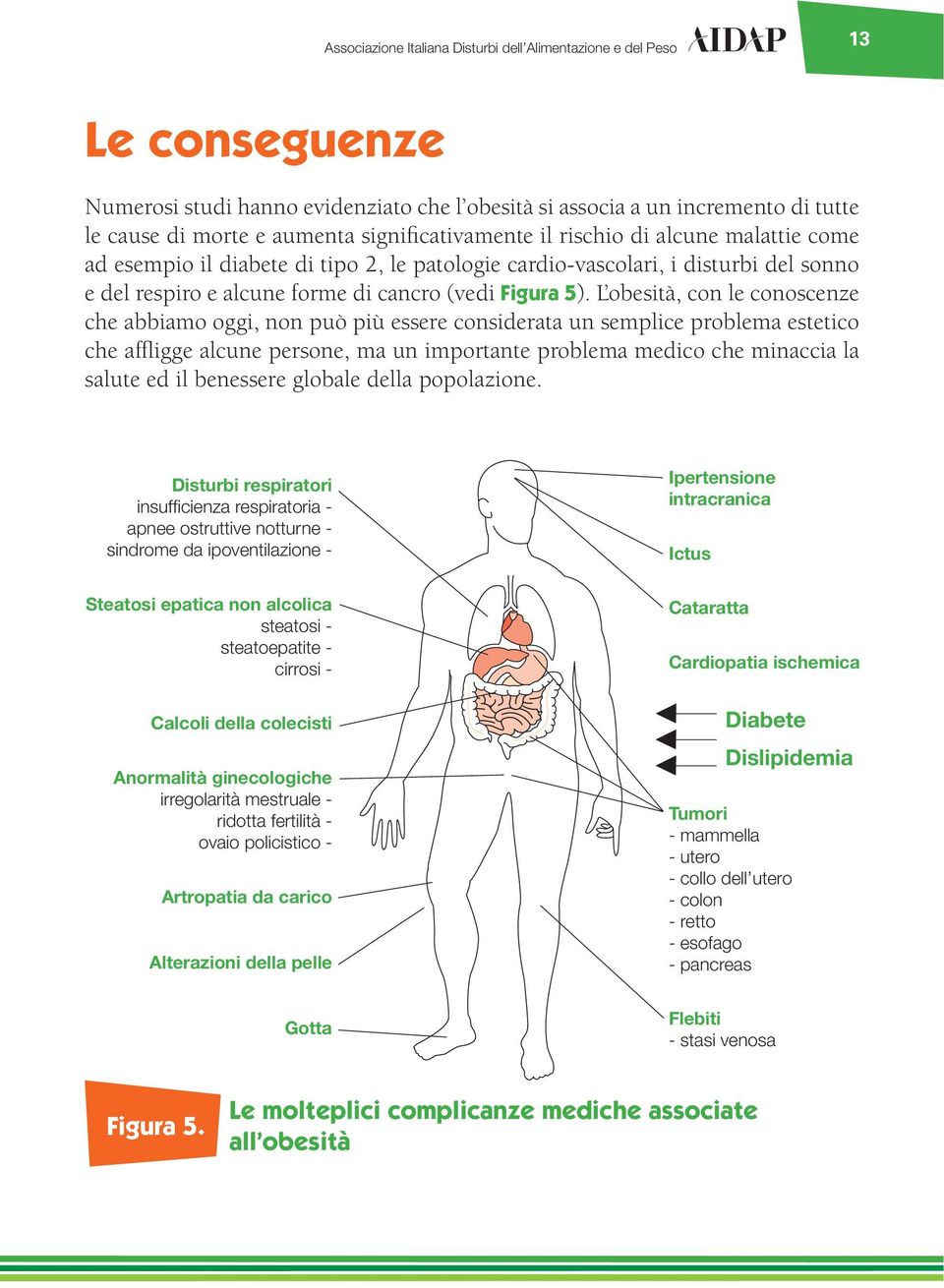 L obesità, con le conoscenze che abbiamo oggi, non può più essere considerata un semplice problema estetico che affligge alcune persone, ma un importante problema medico che minaccia la salute ed il