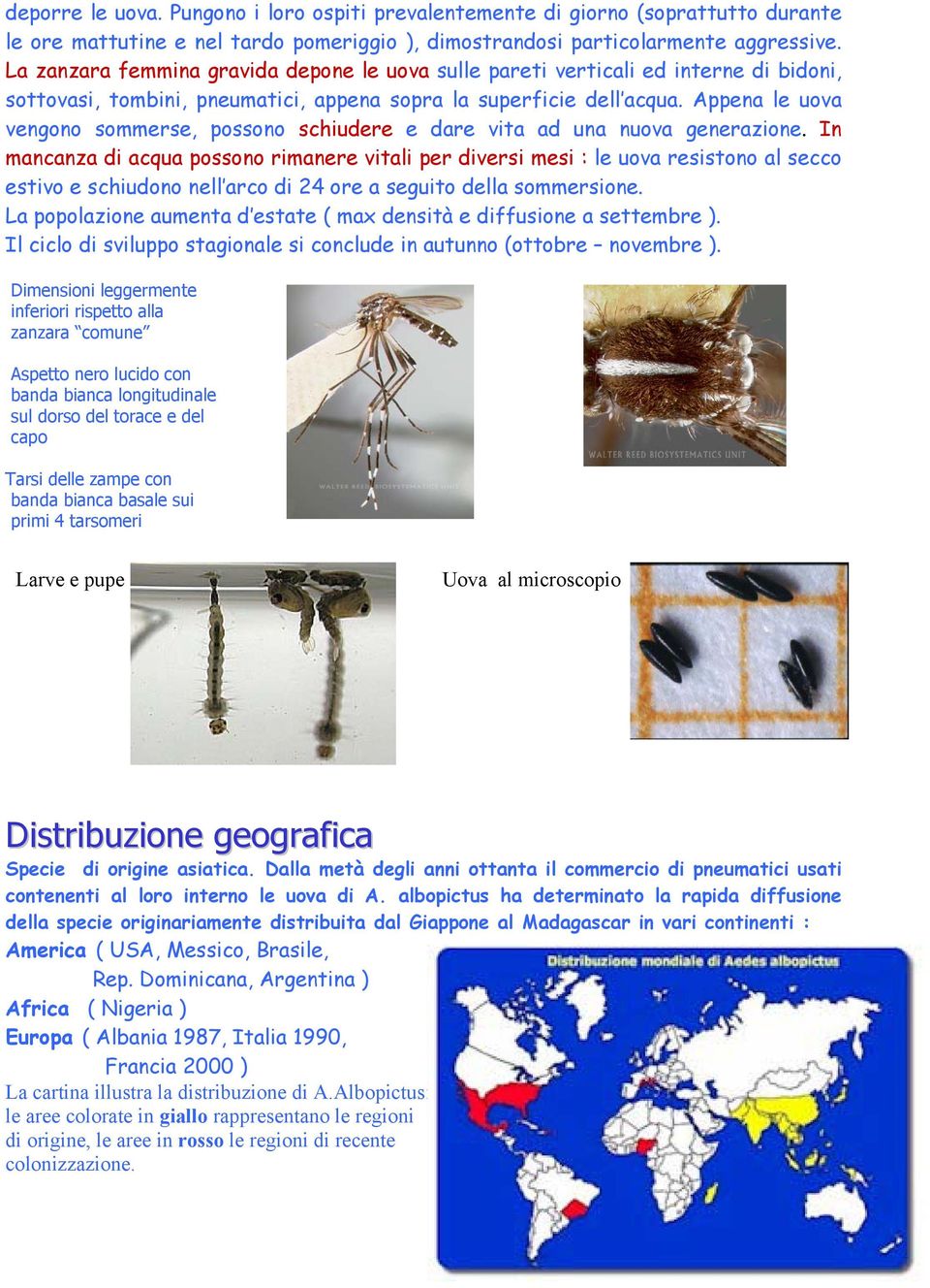 Appena le uova vengono sommerse, possono schiudere e dare vita ad una nuova generazione.