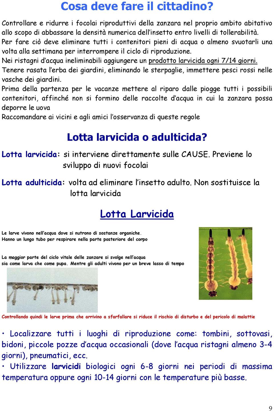 Per fare ciò deve eliminare tutti i contenitori pieni di acqua o almeno svuotarli una volta alla settimana per interrompere il ciclo di riproduzione.