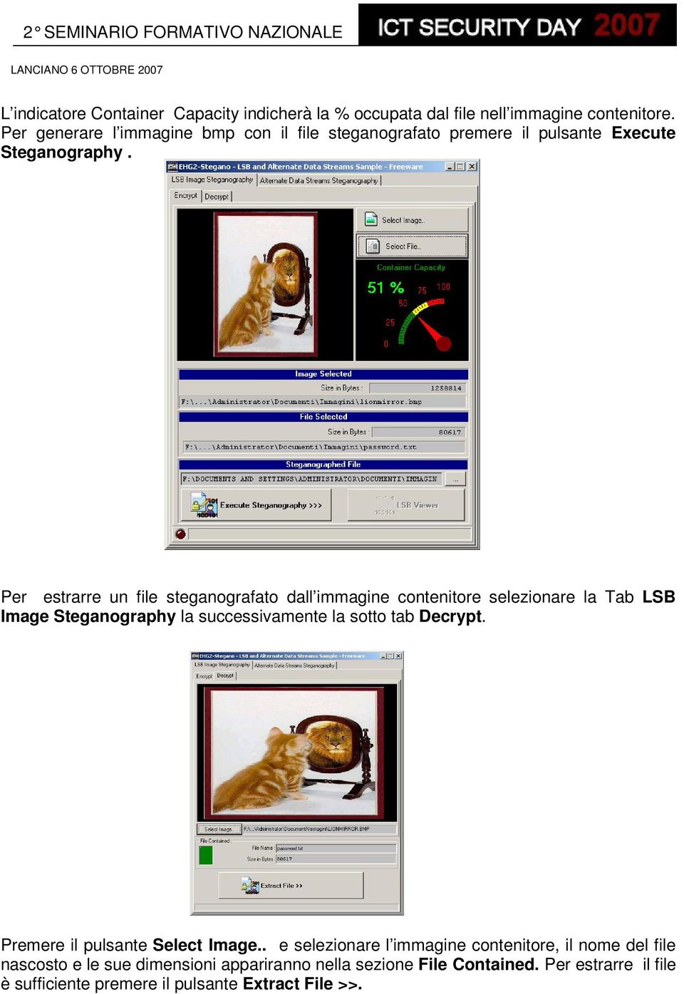 Per estrarre un file steganografato dall immagine contenitore selezionare la Tab LSB Image Steganography la successivamente la sotto tab