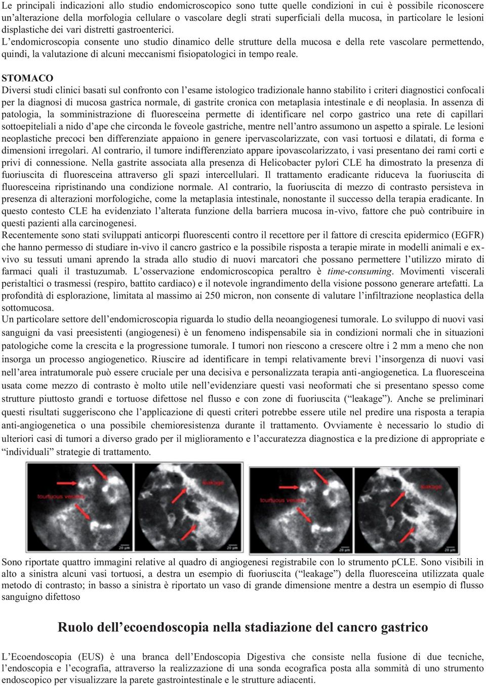 L endomicroscopia consente uno studio dinamico delle strutture della mucosa e della rete vascolare permettendo, quindi, la valutazione di alcuni meccanismi fisiopatologici in tempo reale.