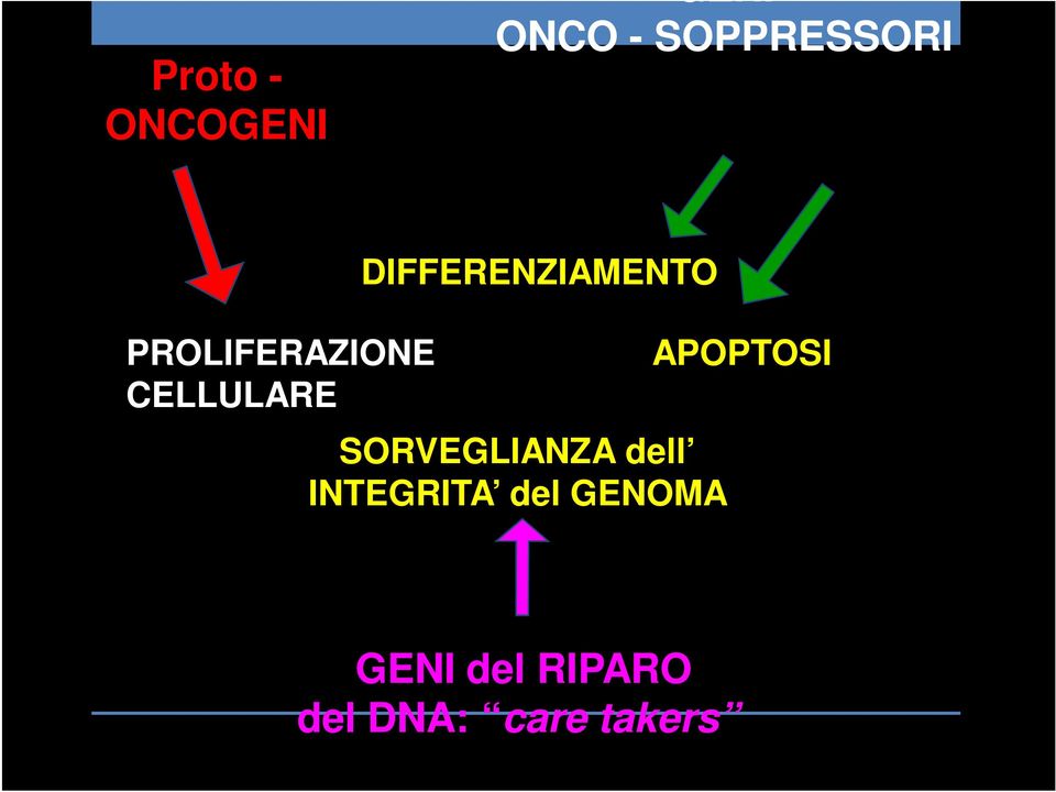 SORVEGLIANZA dell INTEGRITA del GENOMA