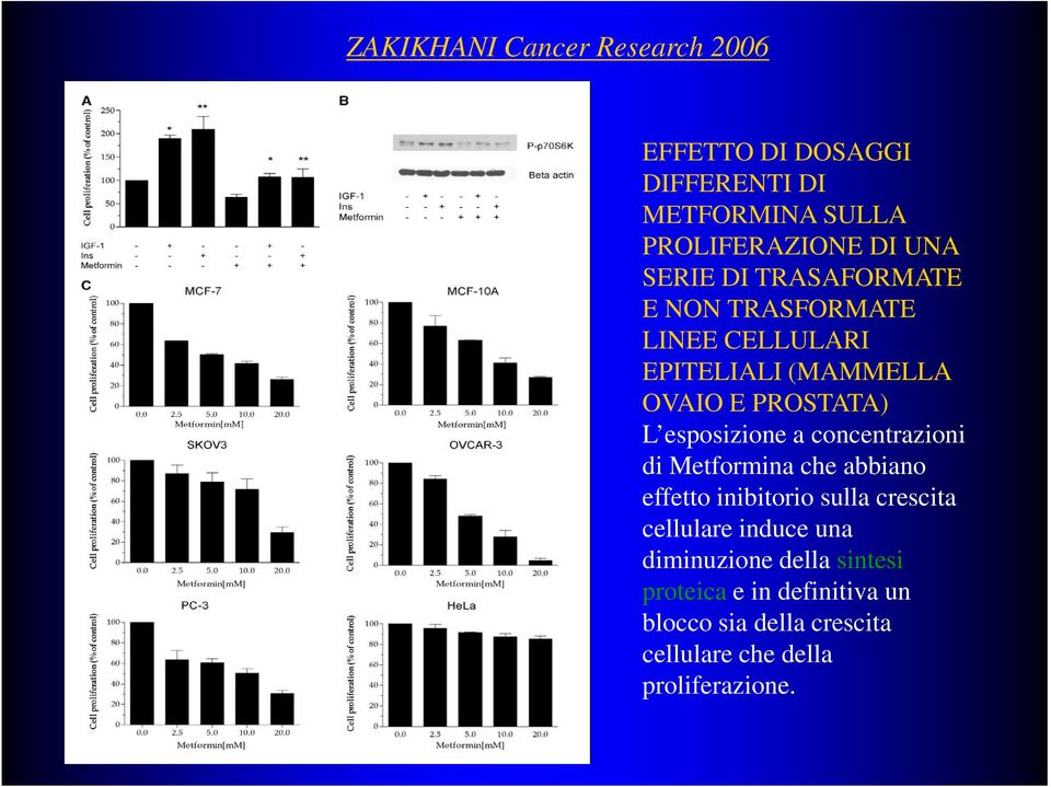 esposizione a concentrazioni di Metformina che abbiano effetto inibitorio sulla crescita cellulare induce
