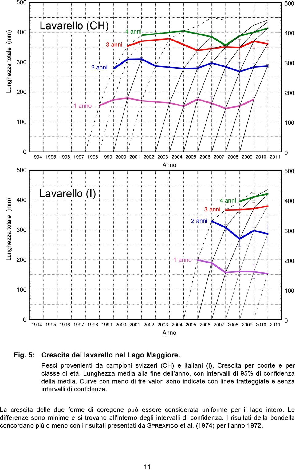 Lughezza media alla fie dell ao, co itervalli di 95% di cofideza della media. Curve co meo di tre valori soo idicate co liee tratteggiate e seza itervalli di cofideza.