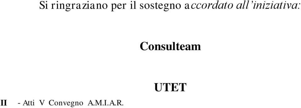 iniziativa: Consulteam II