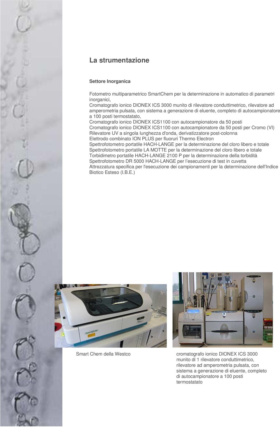 autocampionatore da 50 posti Cromatografo ionico DIONEX ICS1100 con autocampionatore da 50 posti per Cromo (VI) Rilevatore UV a singola lunghezza d'onda, derivatizzatore post-colonna Elettrodo