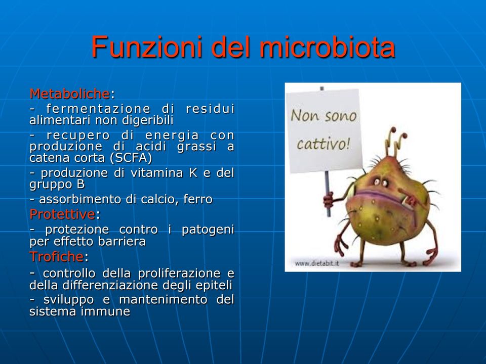 assorbimento di calcio, ferro Protettive: - protezione contro i patogeni per effetto barriera Trofiche: -