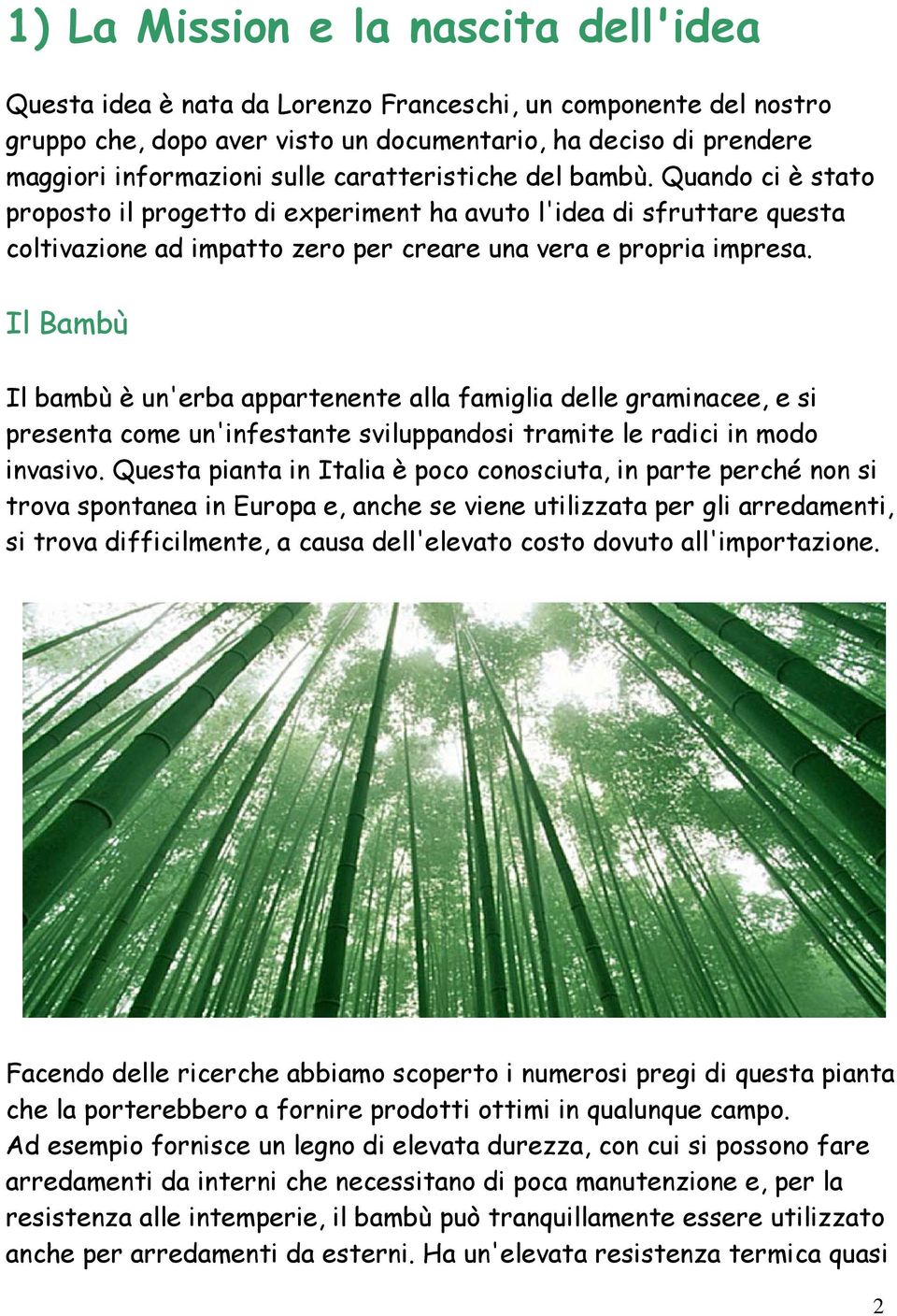 Il Bambù Il bambù è un'erba appartenente alla famiglia delle graminacee, e si presenta come un'infestante sviluppandosi tramite le radici in modo invasivo.