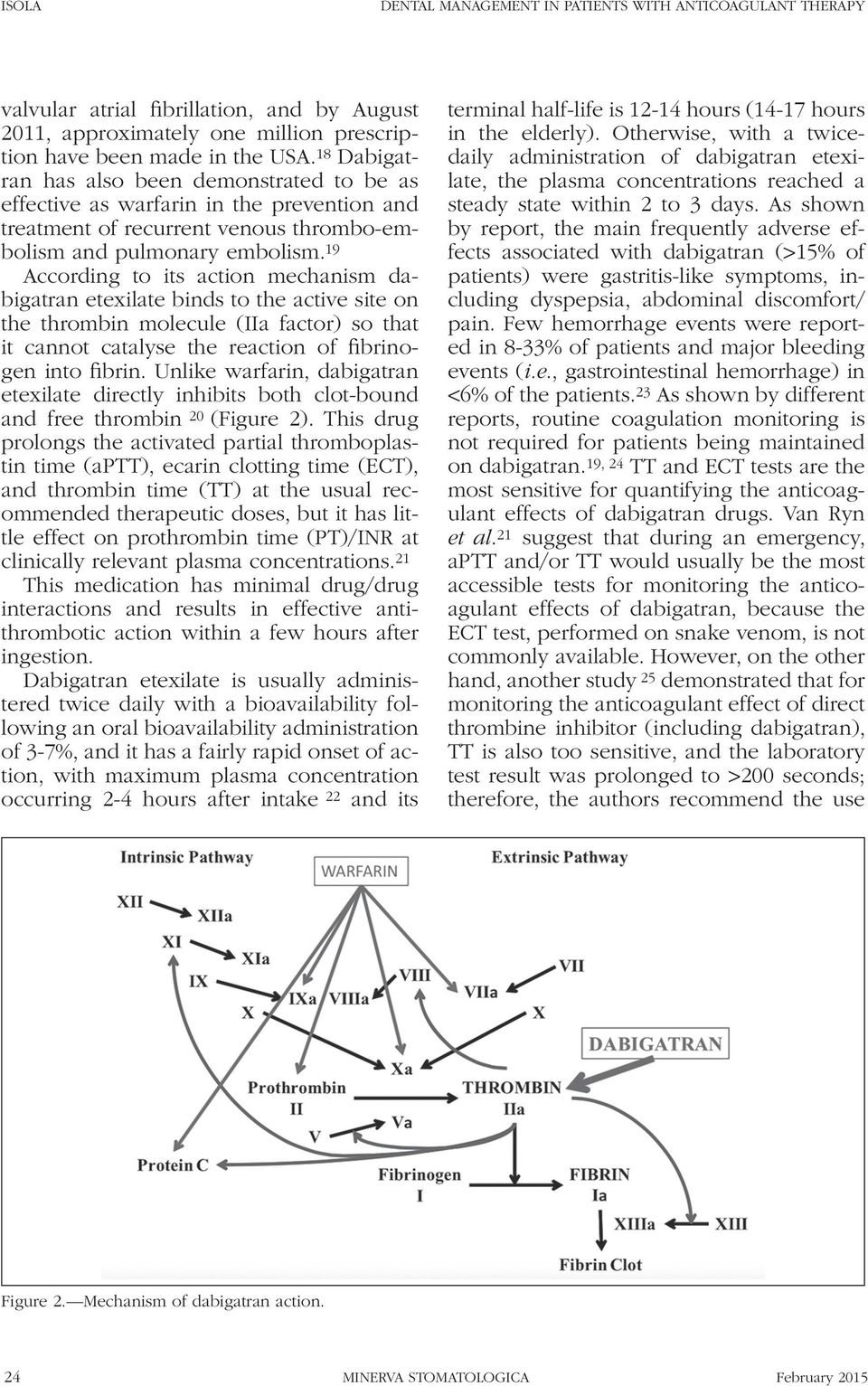 19 According to its action mechanism dabigatran etexilate binds to the active site on the thrombin molecule (IIa factor) so that it cannot catalyse the reaction of fibrinogen into fibrin.