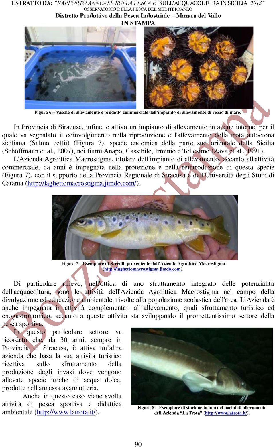 (Salmo cettii) (Figura 7), specie endemica della parte sud orientale della Sicilia (Schöffmann et al., 2007), nei fiumi Anapo, Cassibile, Irminio e Tellesimo (Zava et al., 1991).