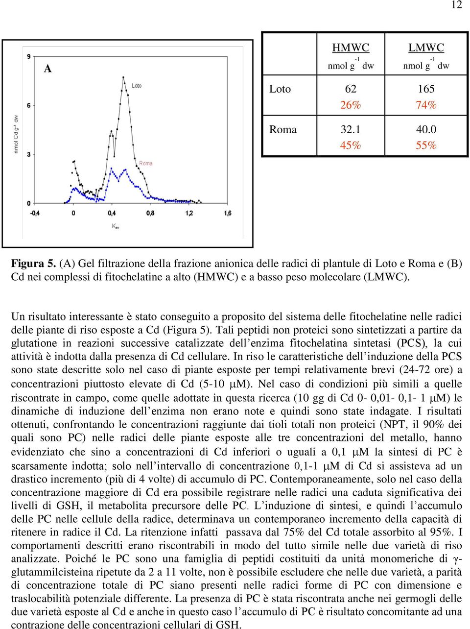 Un risultato interessante è stato conseguito a proposito del sistema delle fitochelatine nelle radici delle piante di riso esposte a Cd (Figura 5).