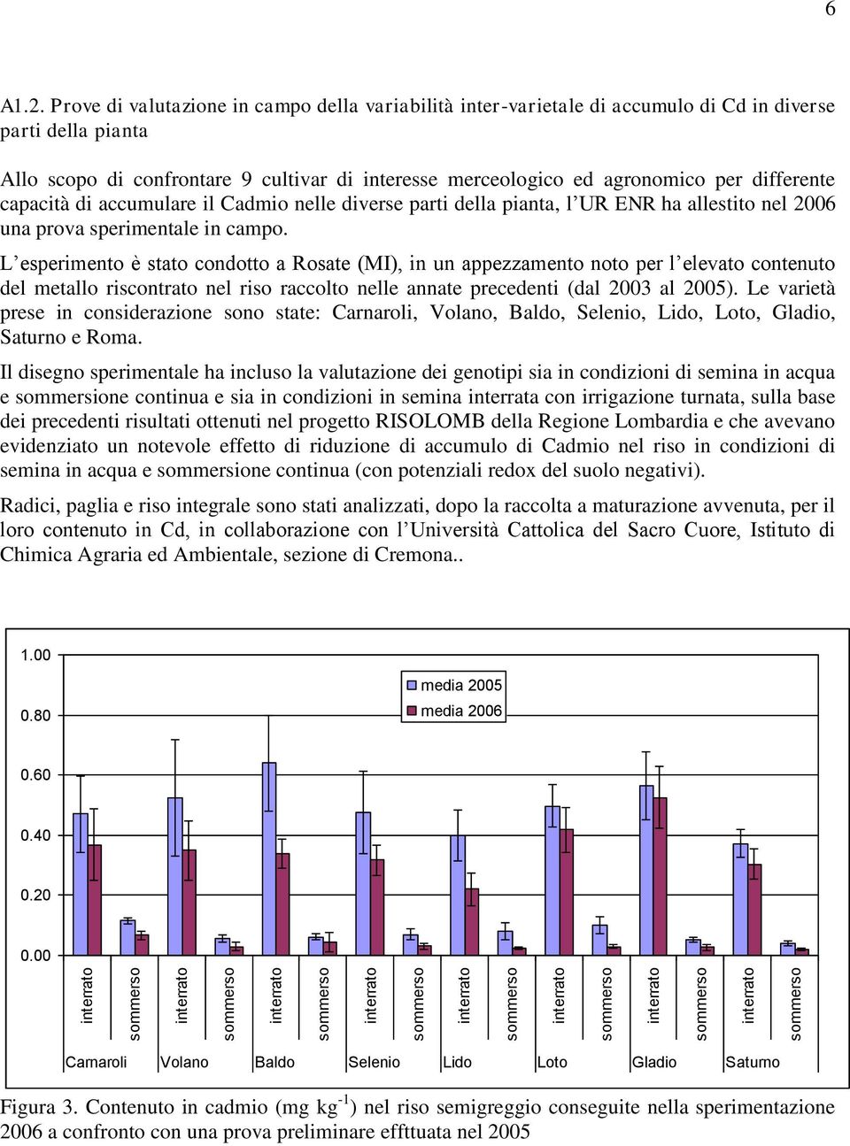 differente capacità di accumulare il Cadmio nelle diverse parti della pianta, l UR ENR ha allestito nel 2006 una prova sperimentale in campo.