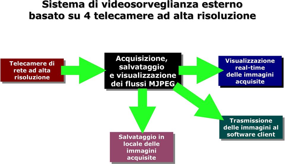 visualizzazione dei dei flussi MJPEG Visualizzazione real-time delle immagini acquisite