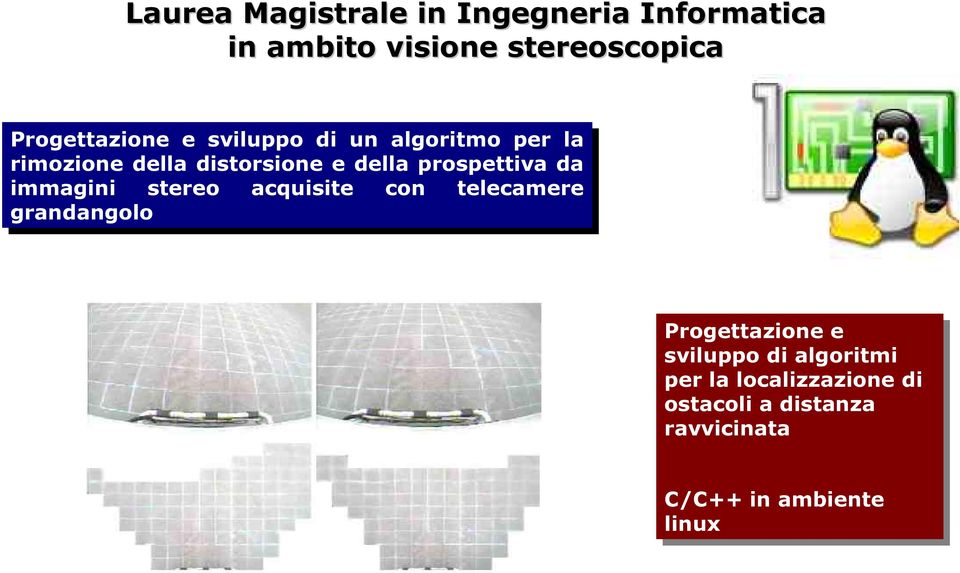 da immagini stereo acquisite con con telecamere grandangolo Progettazione e sviluppo di di