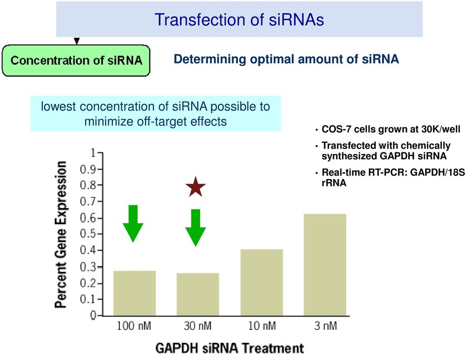 off-target effects COS-7 cells grown at 30K/well Transfected