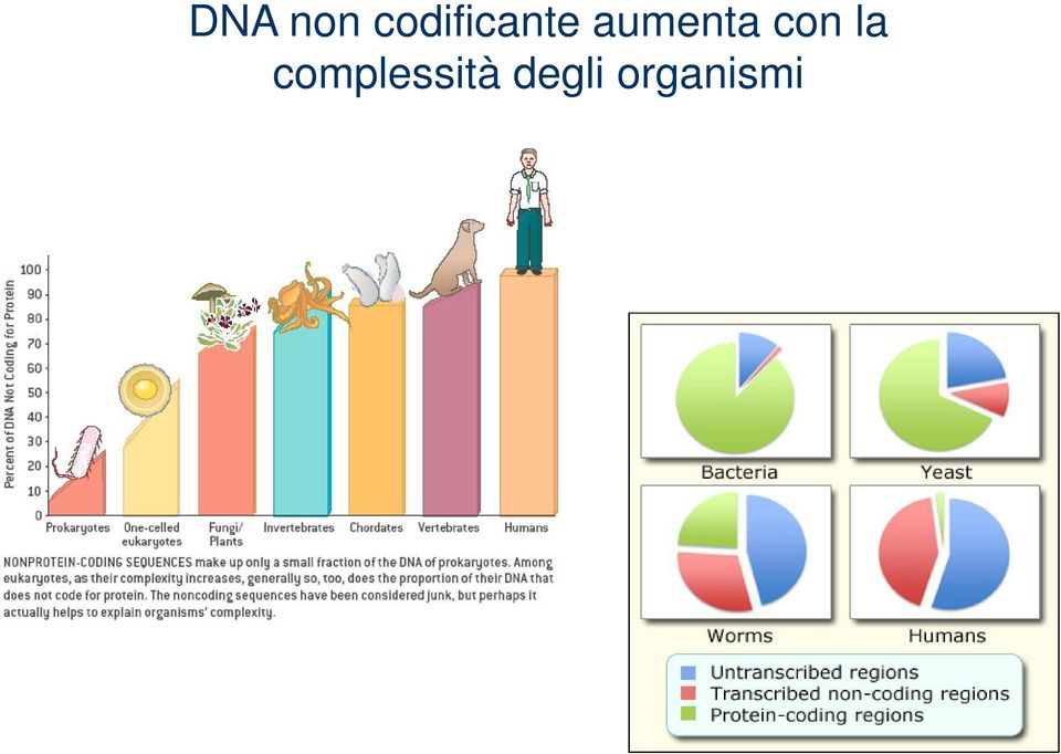 aumenta con la