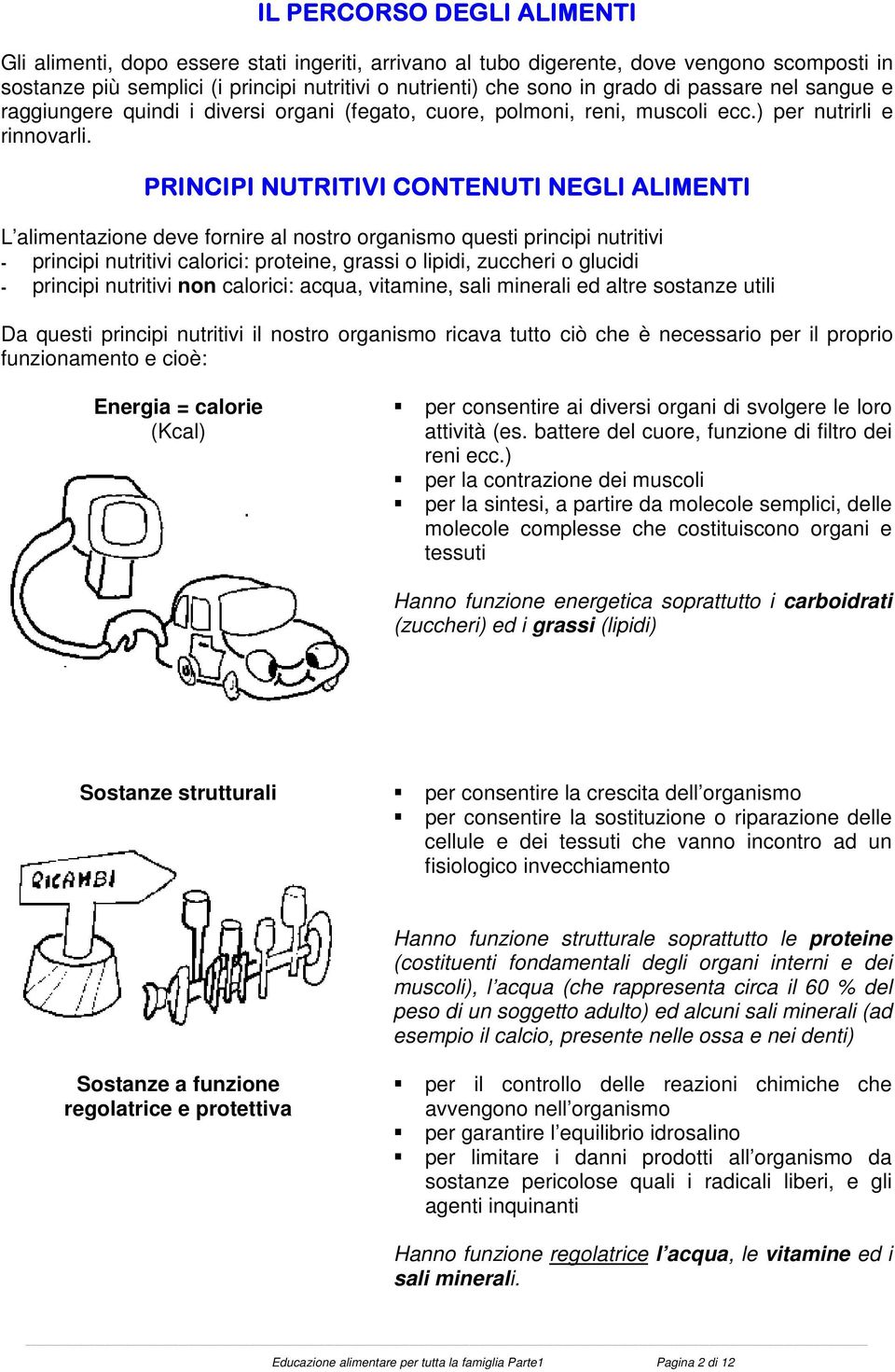 PRINCIPI NUTRITIVI CONTENUTI NEGLI ALIMENTI L alimentazione deve fornire al nostro organismo questi principi nutritivi - principi nutritivi calorici: proteine, grassi o lipidi, zuccheri o glucidi -