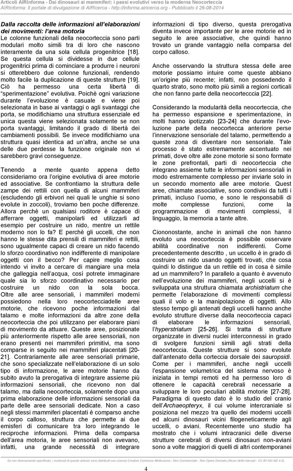 Se questa cellula si dividesse in due cellule progenitrici prima di cominciare a produrre i neuroni si otterebbero due colonne funzionali, rendendo molto facile la duplicazione di queste strutture